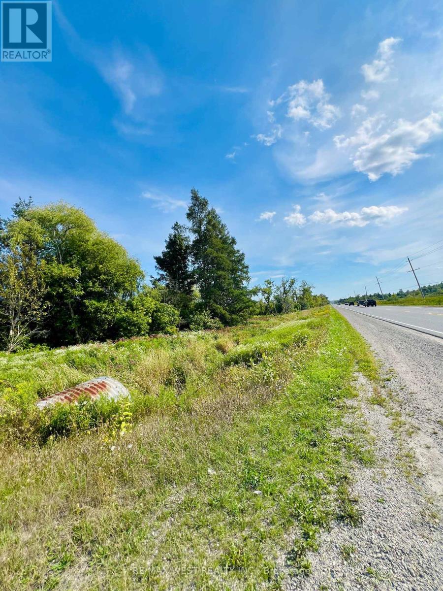 19983 Hwy 48, East Gwillimbury, Ontario  L1G 1M0 - Photo 12 - N12356502