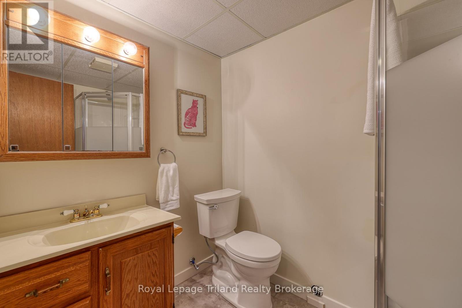 29 Laurel Crescent, Ingersoll, Ontario  N5C 3S9 - Photo 30 - X12378996