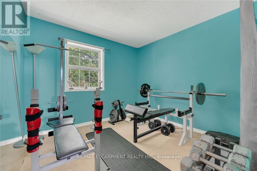920 Highway 56, Haldimand, Ontario  N0A 1R0 - Photo 20 - X12379039