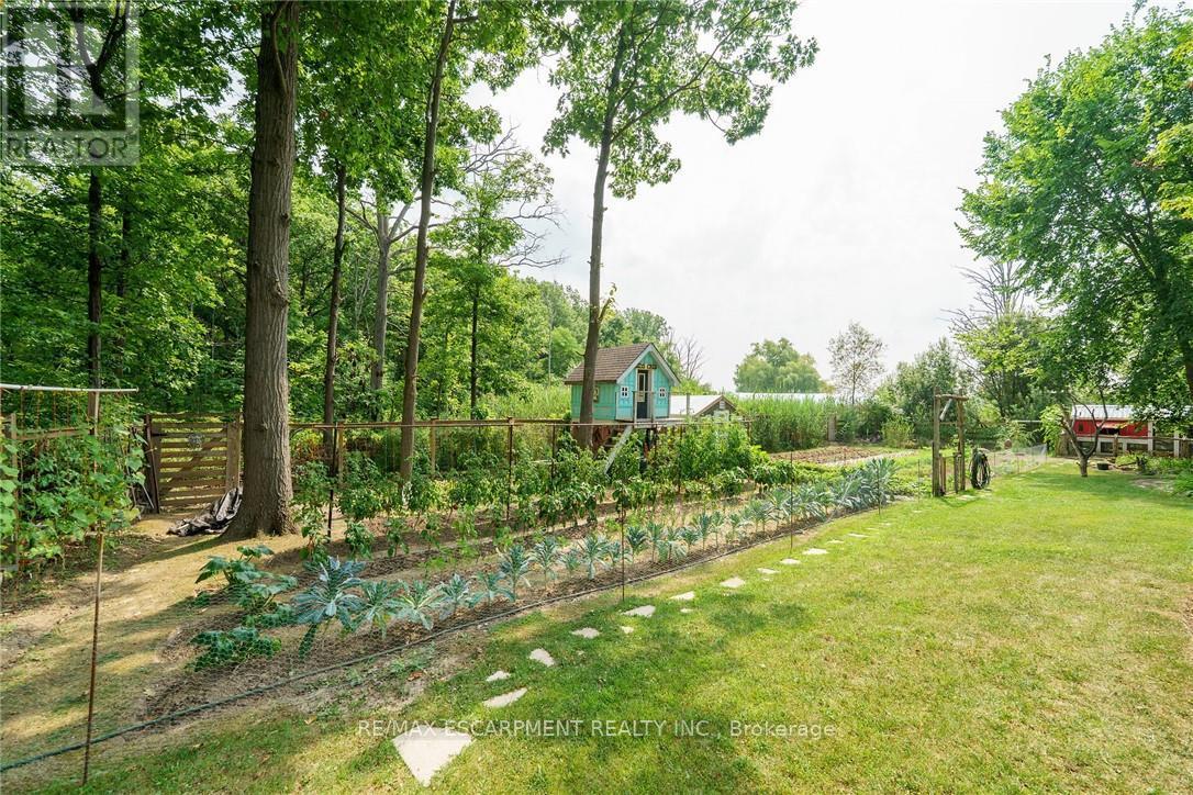 920 Highway 56, Haldimand, Ontario  N0A 1R0 - Photo 39 - X12379039