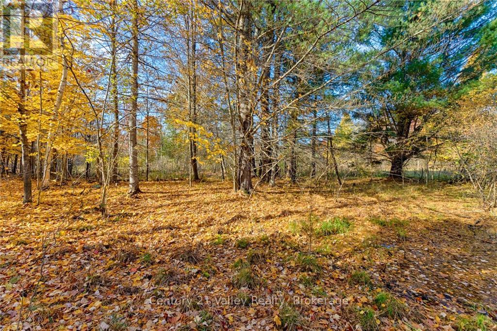 330 Island View Drive, North Algona Wilberforce, Ontario  K0J 1X0 - Photo 25 - X9524088