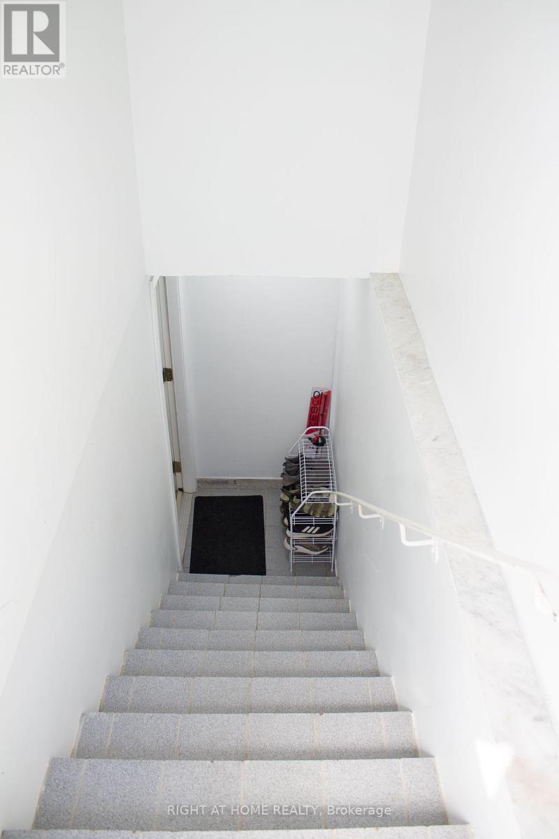 8 Terra Road W, Vaughan, Ontario L4L 3J5 - Photo 31 - N12379267