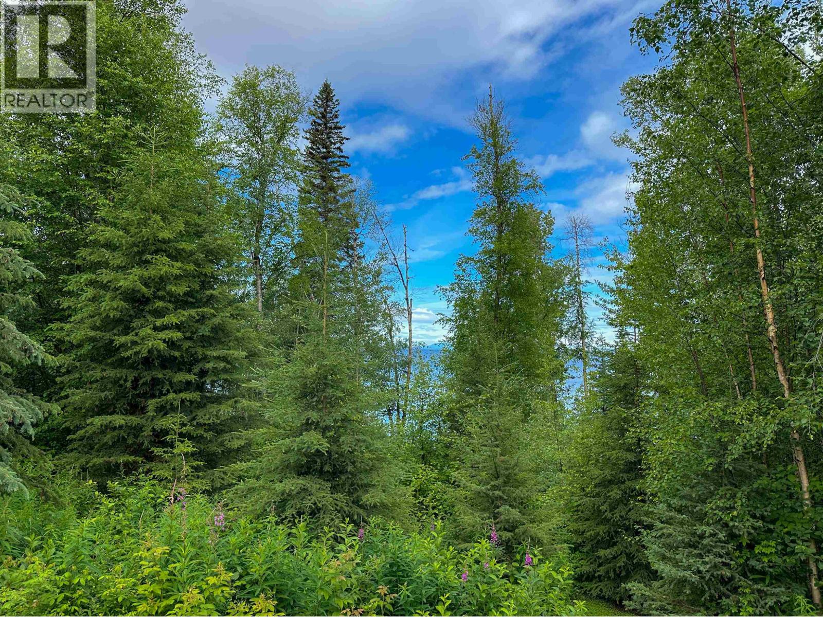 4230 Sowchea Road, Fort St. James, British Columbia  V0J 1P0 - Photo 28 - R3032810