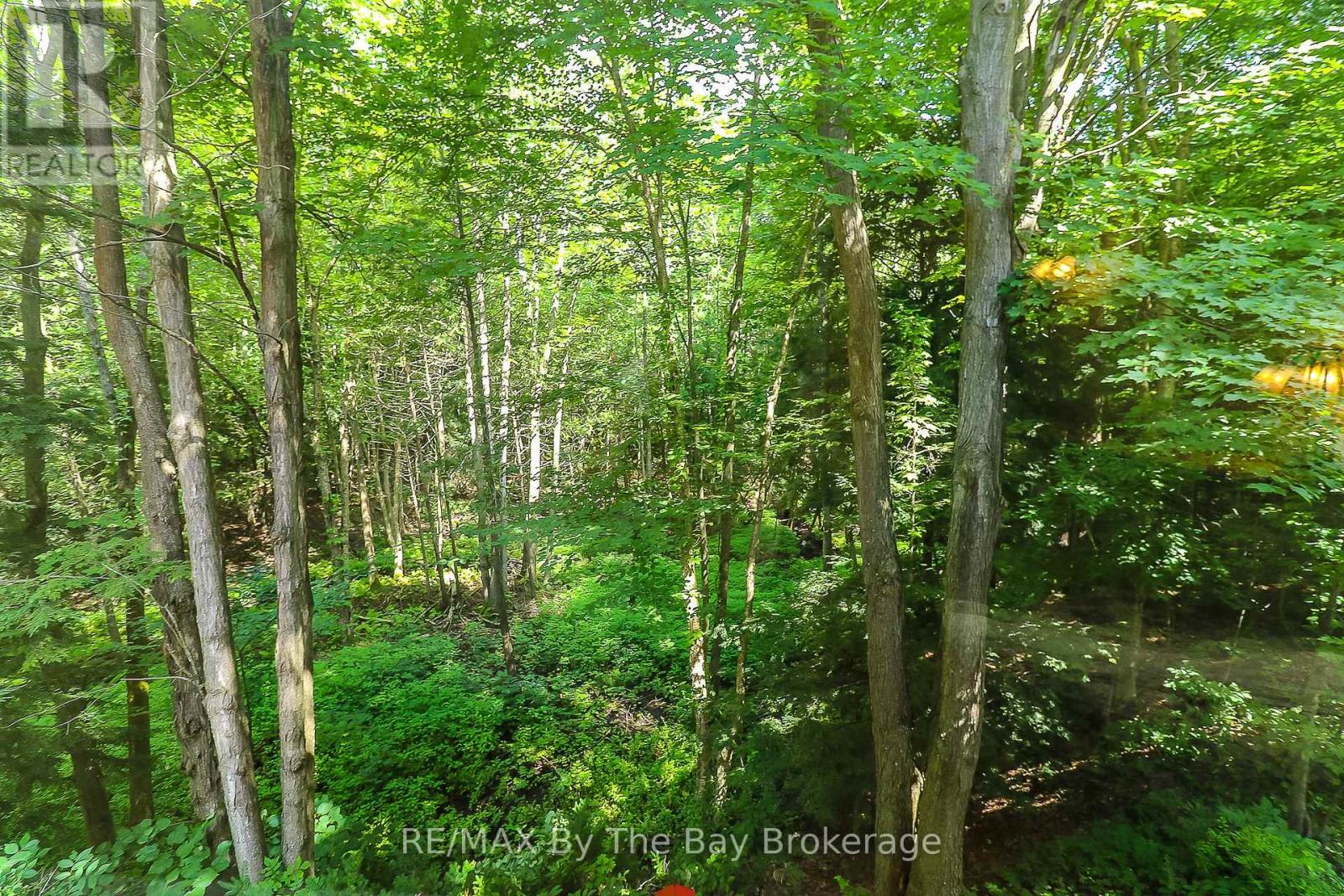 5262 Conc 2 Sunnidale, Clearview, Ontario  L0M 1N0 - Photo 34 - S12379621
