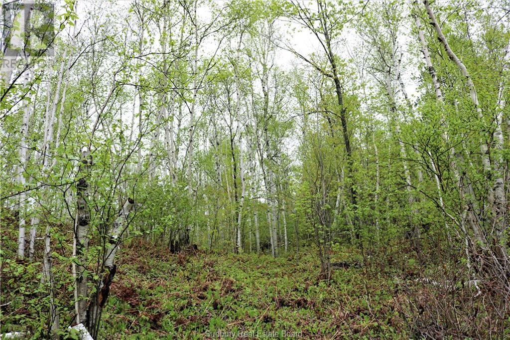 230 Capreol Lake Rd, Capreol, Ontario  P0M 1H0 - Photo 10 - 2124475