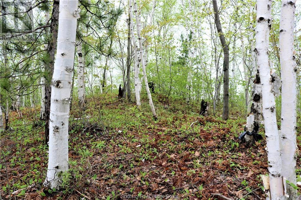 230 Capreol Lake Rd, Capreol, Ontario  P0M 1H0 - Photo 11 - 2124475