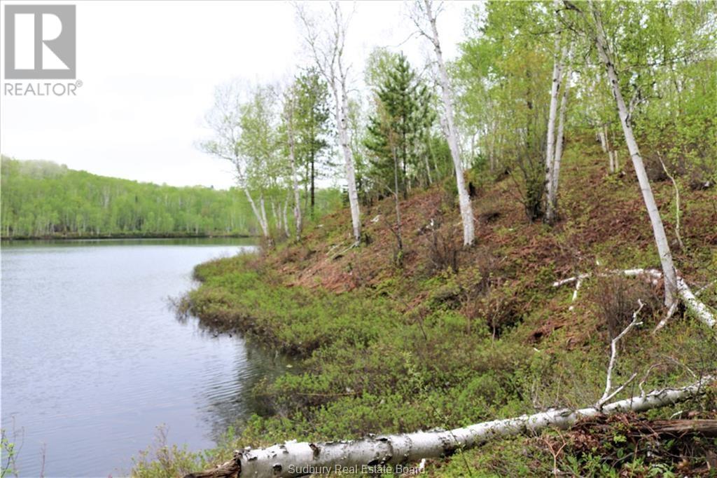 230 Capreol Lake Rd, Capreol, Ontario  P0M 1H0 - Photo 6 - 2124475