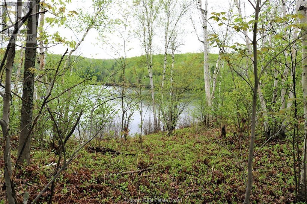 230 Capreol Lake Rd, Capreol, Ontario  P0M 1H0 - Photo 9 - 2124475