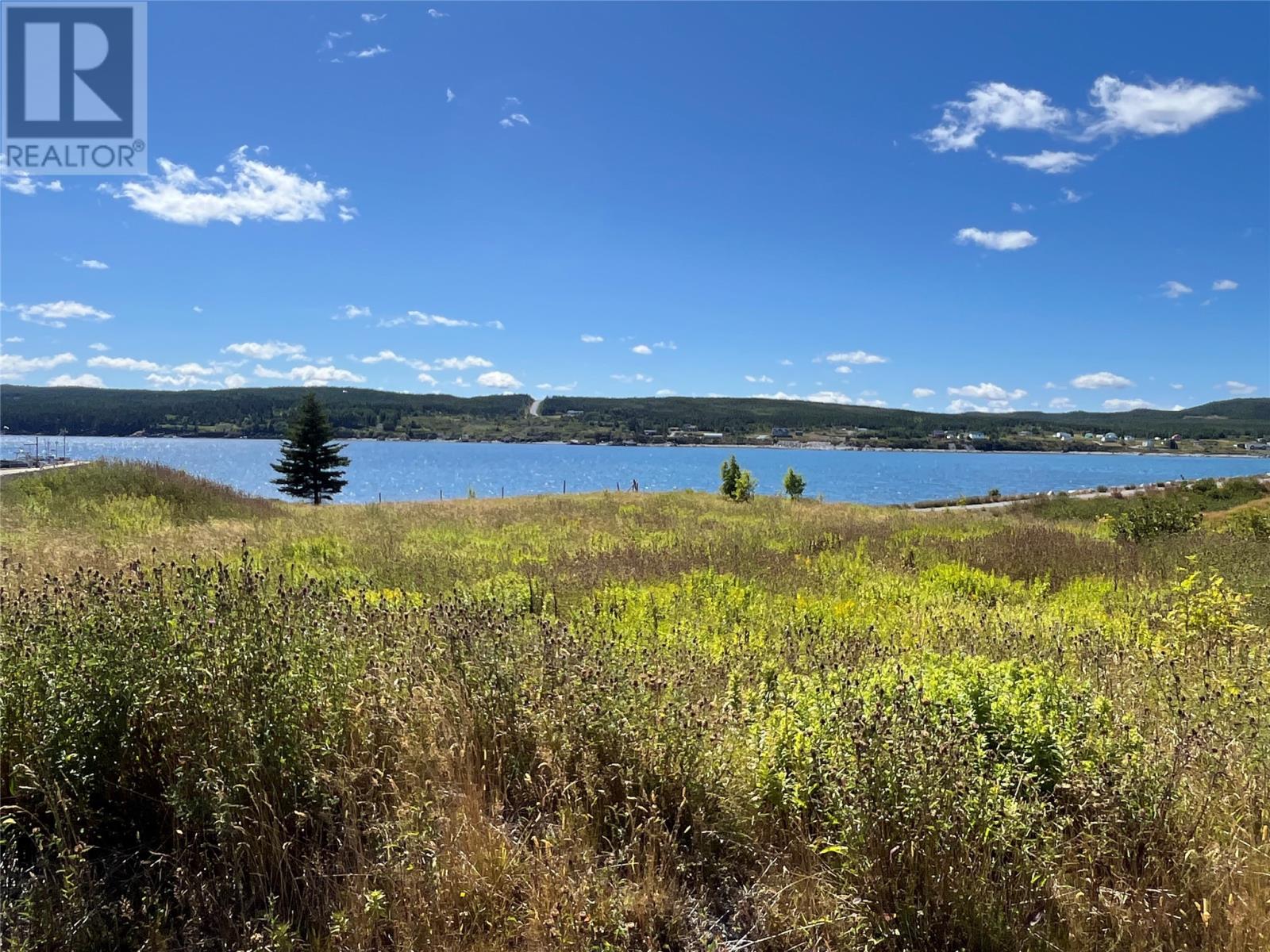 101 Main Road, Renews, Newfoundland & Labrador  A0A 3N0 - Photo 18 - 1289700