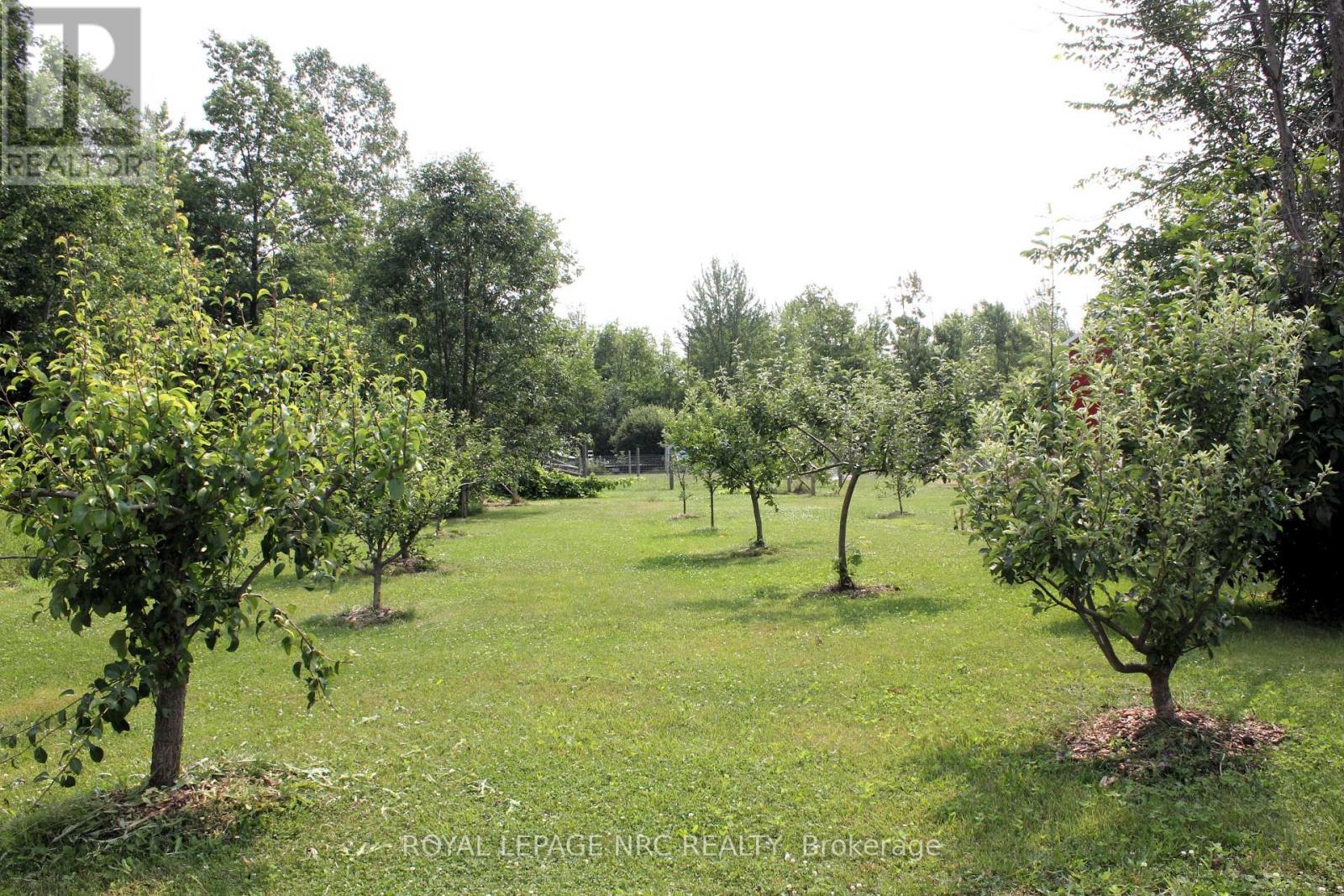 4511 Miller Road, Port Colborne, Ontario  L3B 5N7 - Photo 47 - X12379630