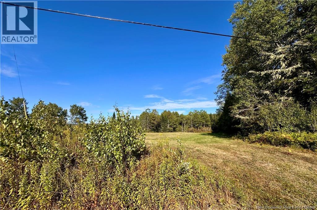 0 Drawlin Road, Barnesville, New Brunswick  E5N 3P2 - Photo 4 - NB125012