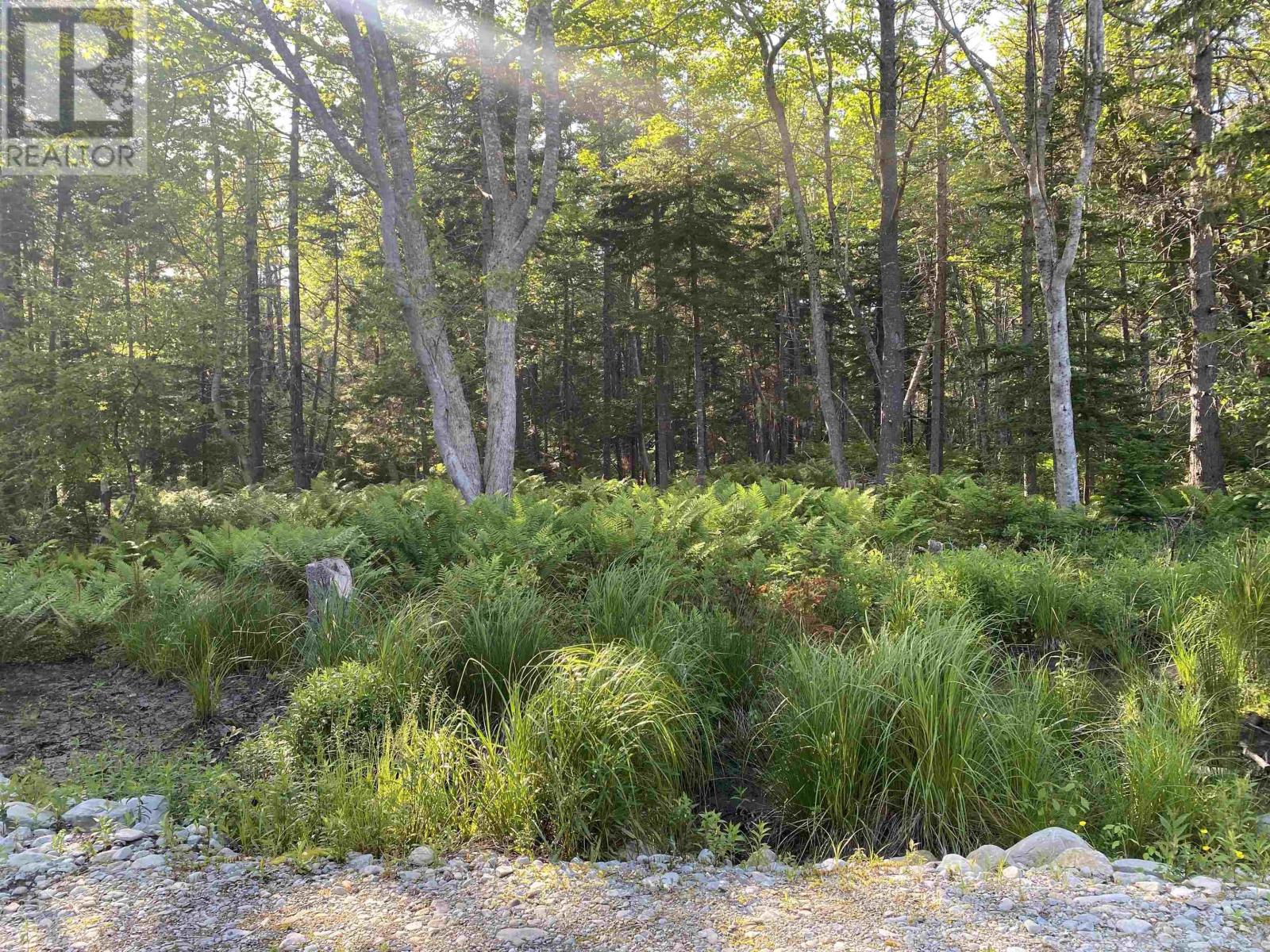 78 White Point 1 Road, White Point, Nova Scotia  B0T 1G0 - Photo 10 - 202515294