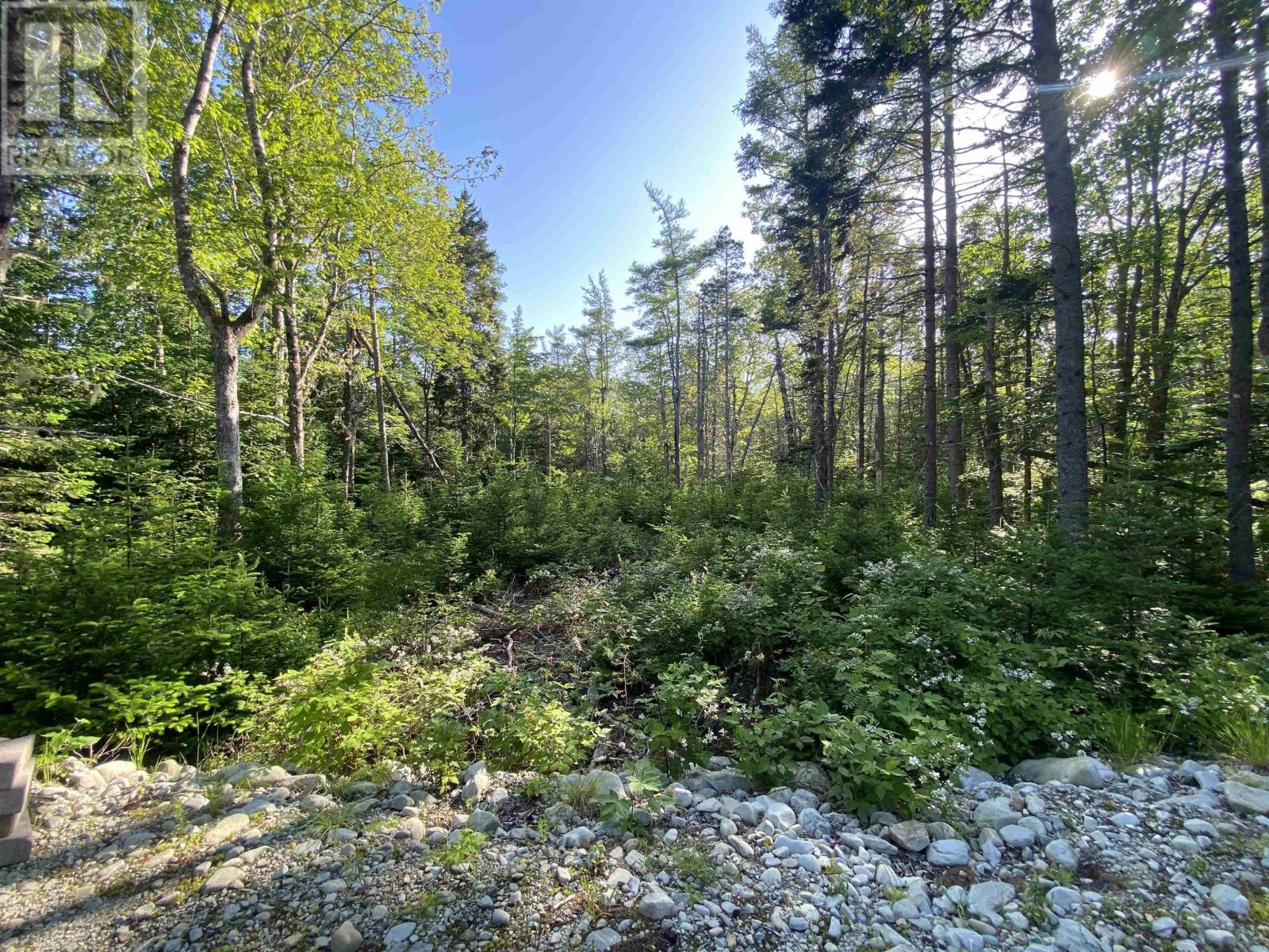 78 White Point 1 Road, White Point, Nova Scotia  B0T 1G0 - Photo 16 - 202515294