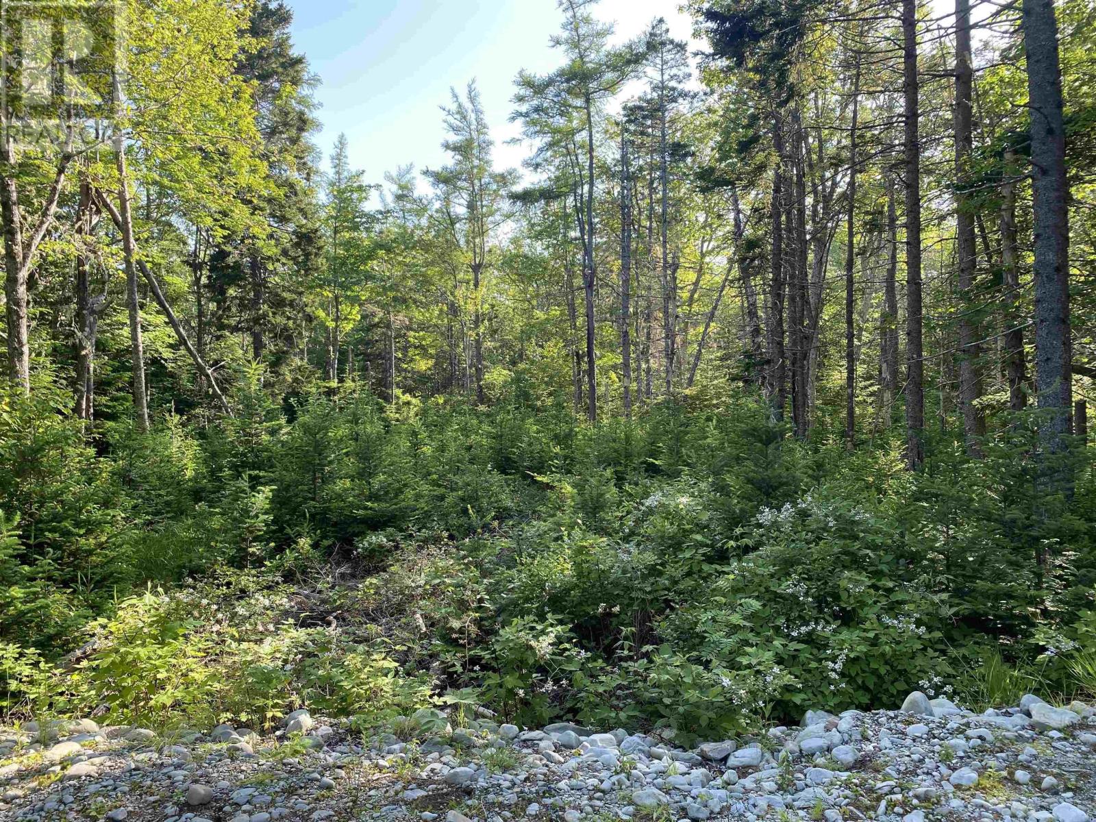 78 White Point 1 Road, White Point, Nova Scotia  B0T 1G0 - Photo 17 - 202515294