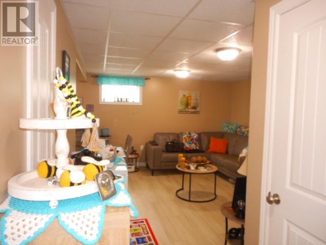 62 Bayview Road, Springdale, Newfoundland & Labrador  A0J 1T0 - Photo 15 - 1289982