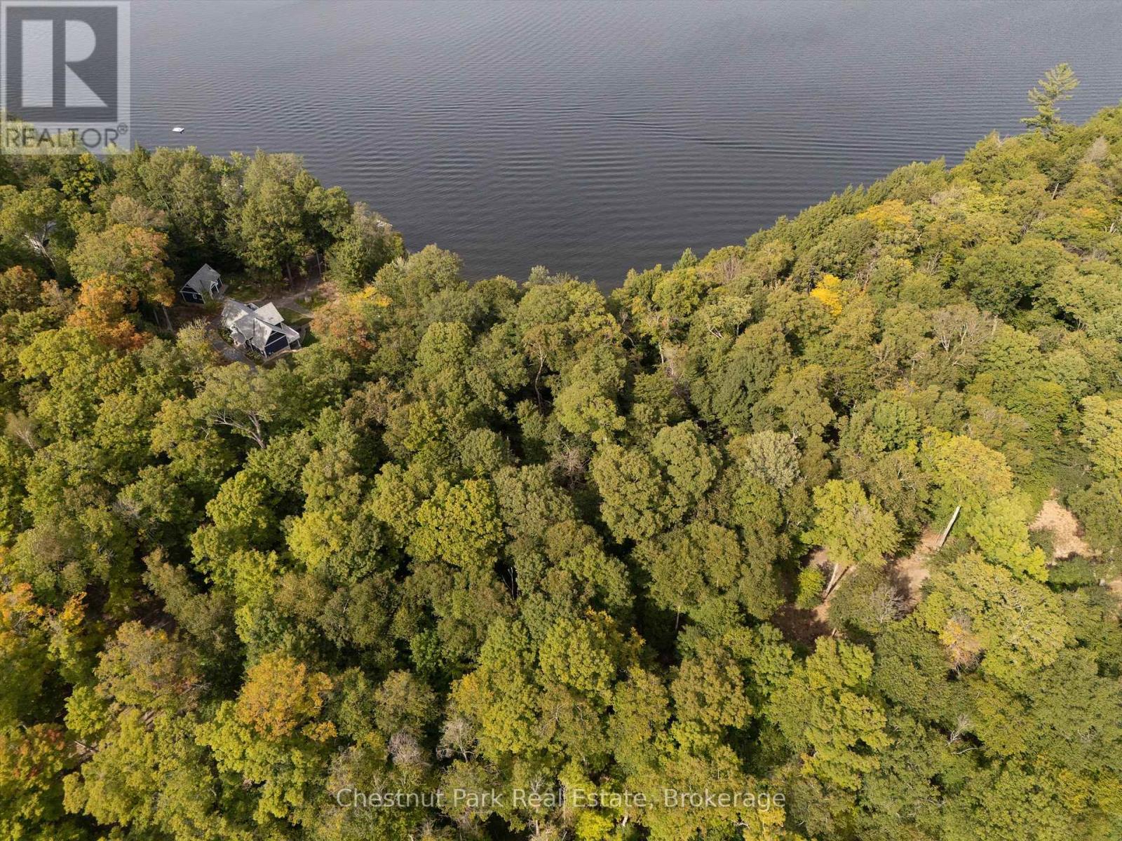 300 Bigwin Island, Lake Of Bays, Ontario  P0B 1A0 - Photo 15 - X12376853