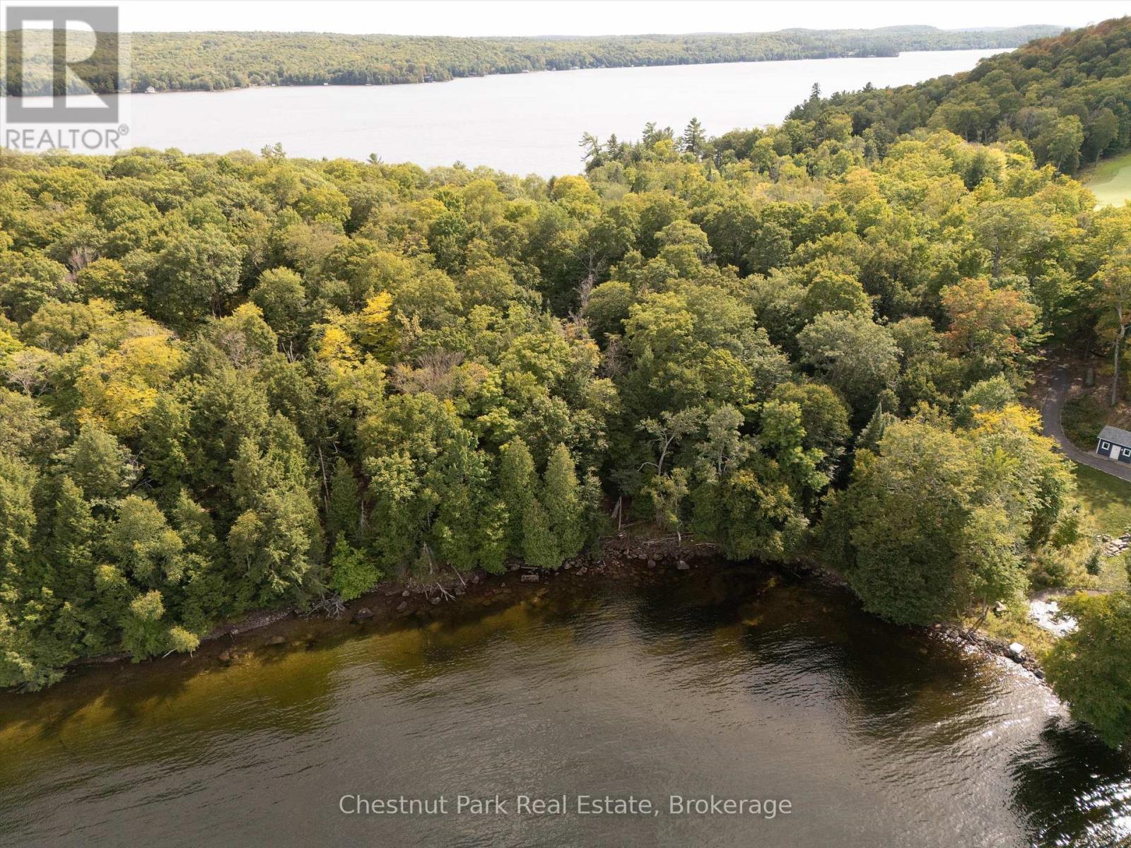 300 Bigwin Island, Lake Of Bays, Ontario  P0B 1A0 - Photo 7 - X12376853