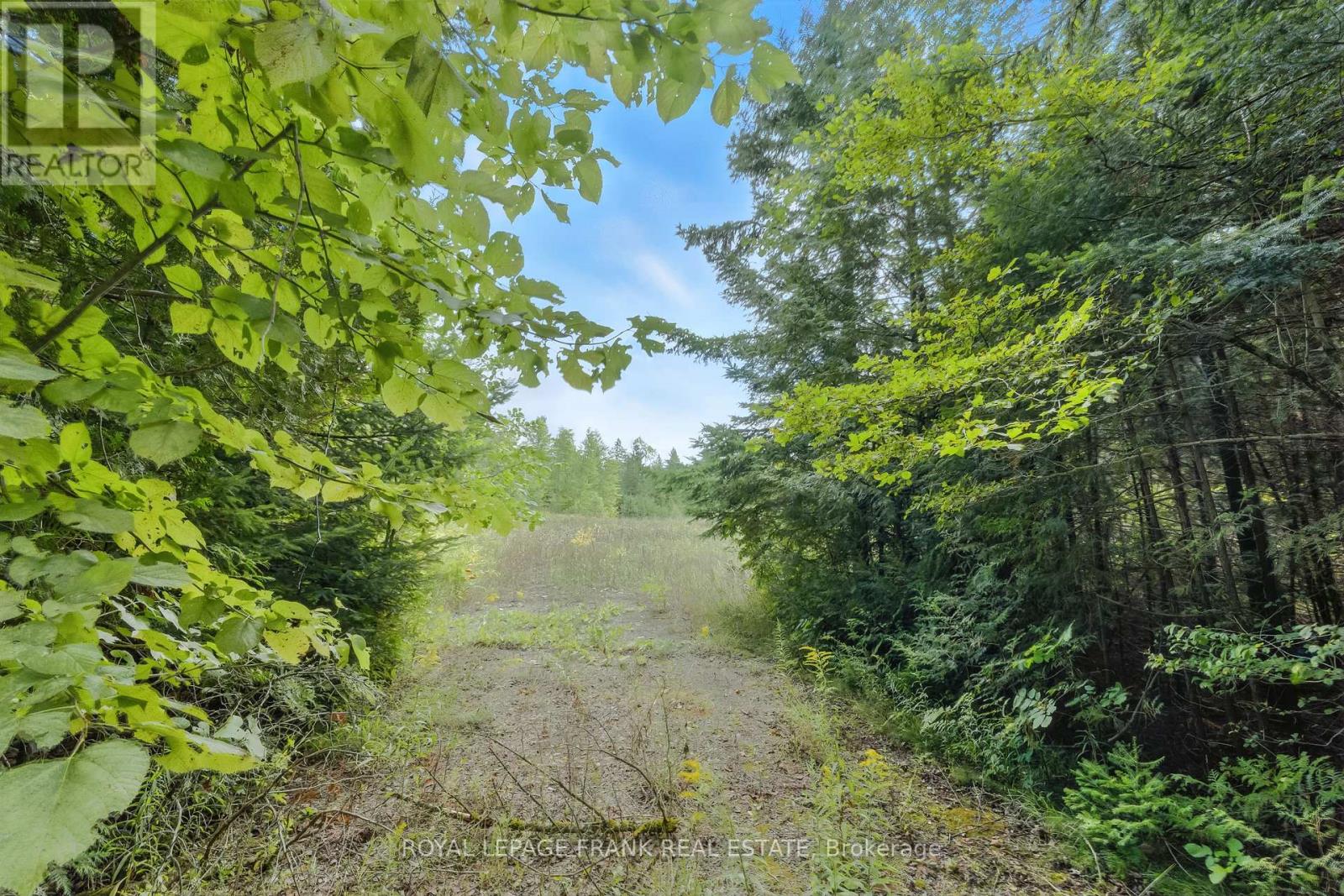 274 Highway 35, Kawartha Lakes (Manvers), Ontario  L0B 1K0 - Photo 28 - X12380146