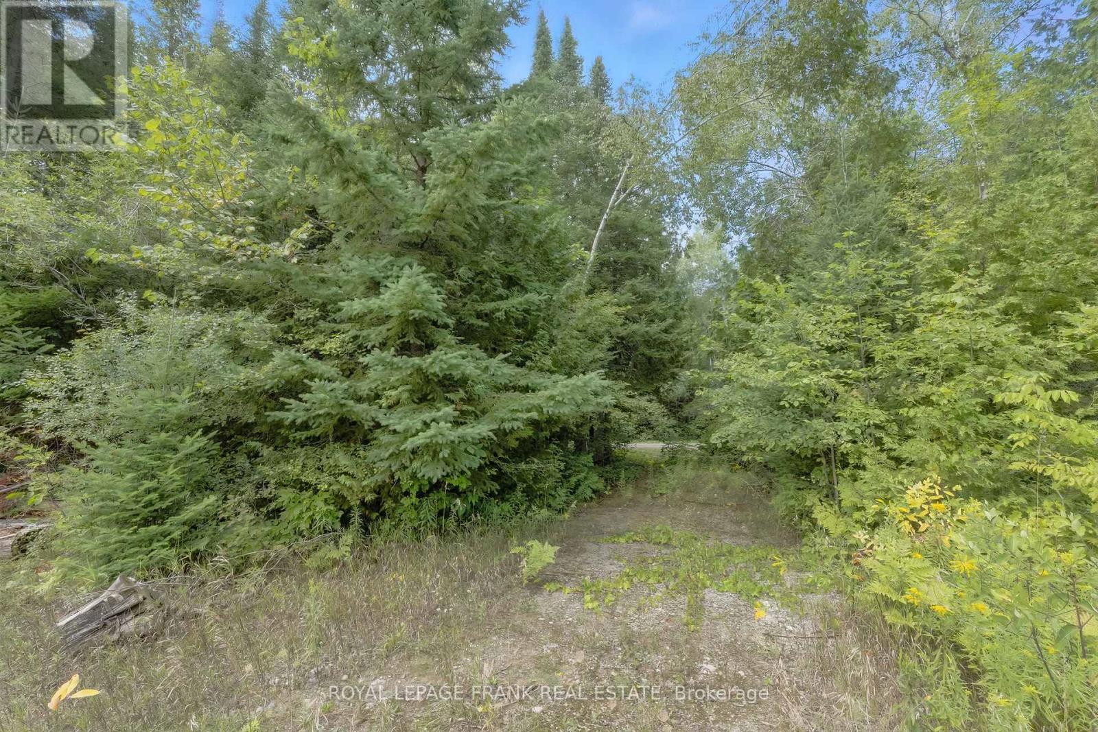 274 Highway 35, Kawartha Lakes (Manvers), Ontario  L0B 1K0 - Photo 29 - X12380146