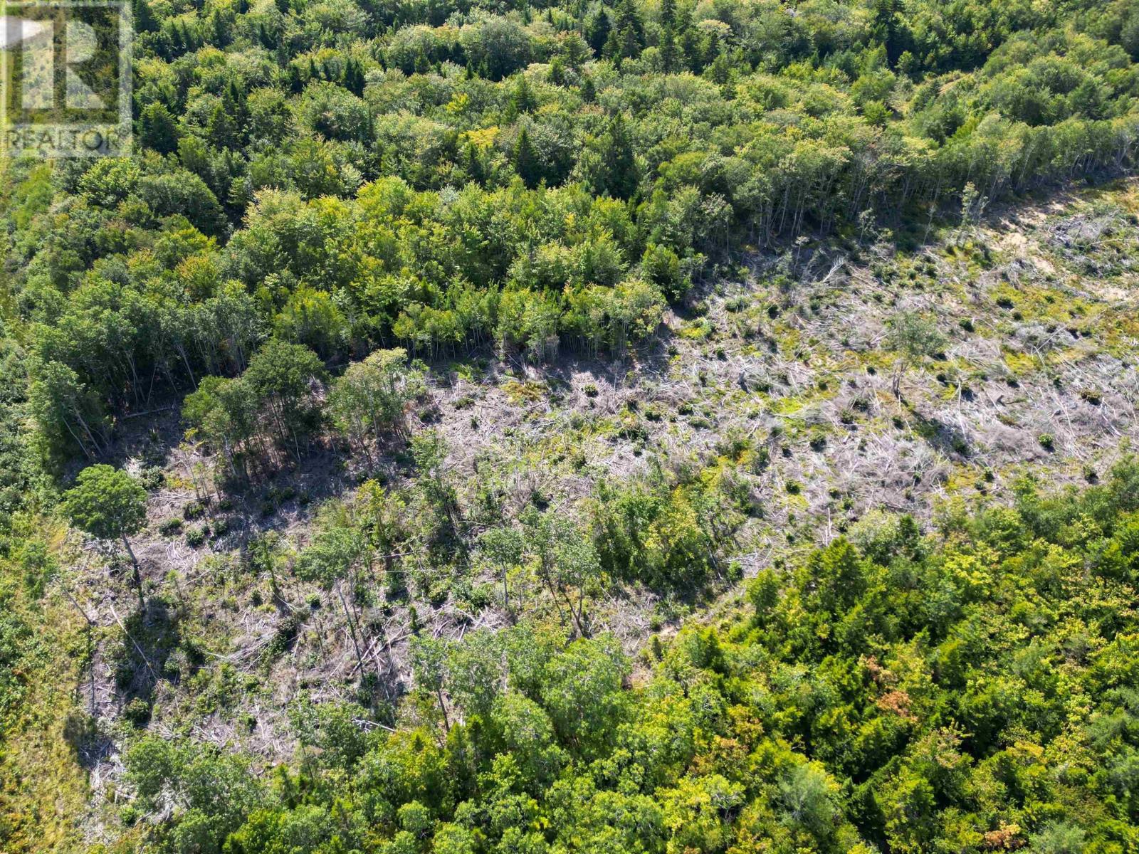 Lot Second Division Road, Meteghan, Nova Scotia  B0W 2J0 - Photo 12 - 202522350