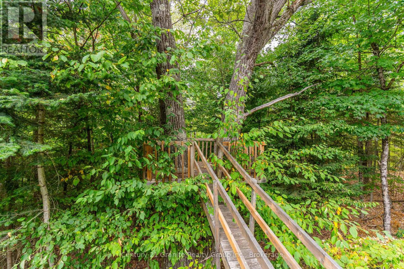 1277 Grace Road, Minden Hills, Ontario  K0M 2K0 - Photo 39 - X12359412