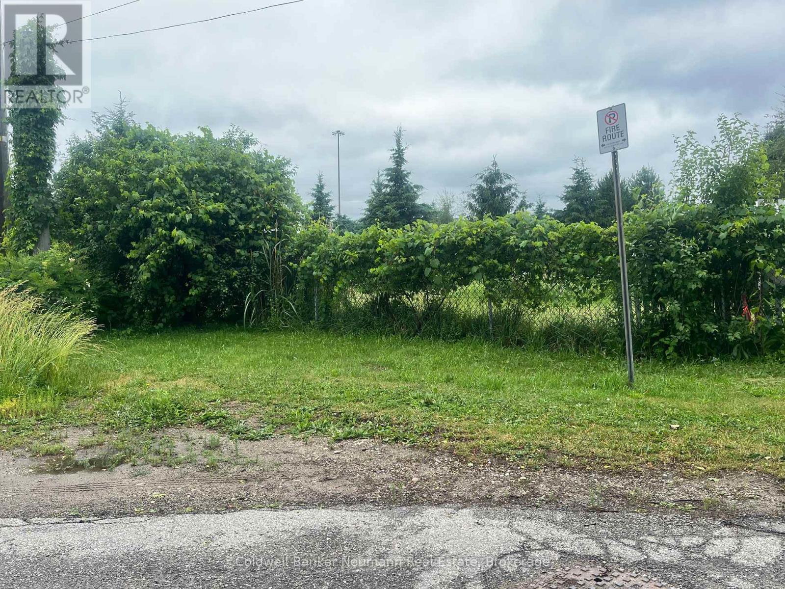 9 Eden Street, Guelph, Ontario  N1H 3E2 - Photo 4 - X12249387