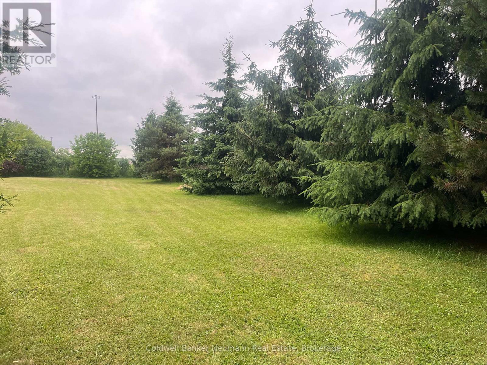 9 Eden Street, Guelph, Ontario  N1H 3E2 - Photo 3 - X12249387