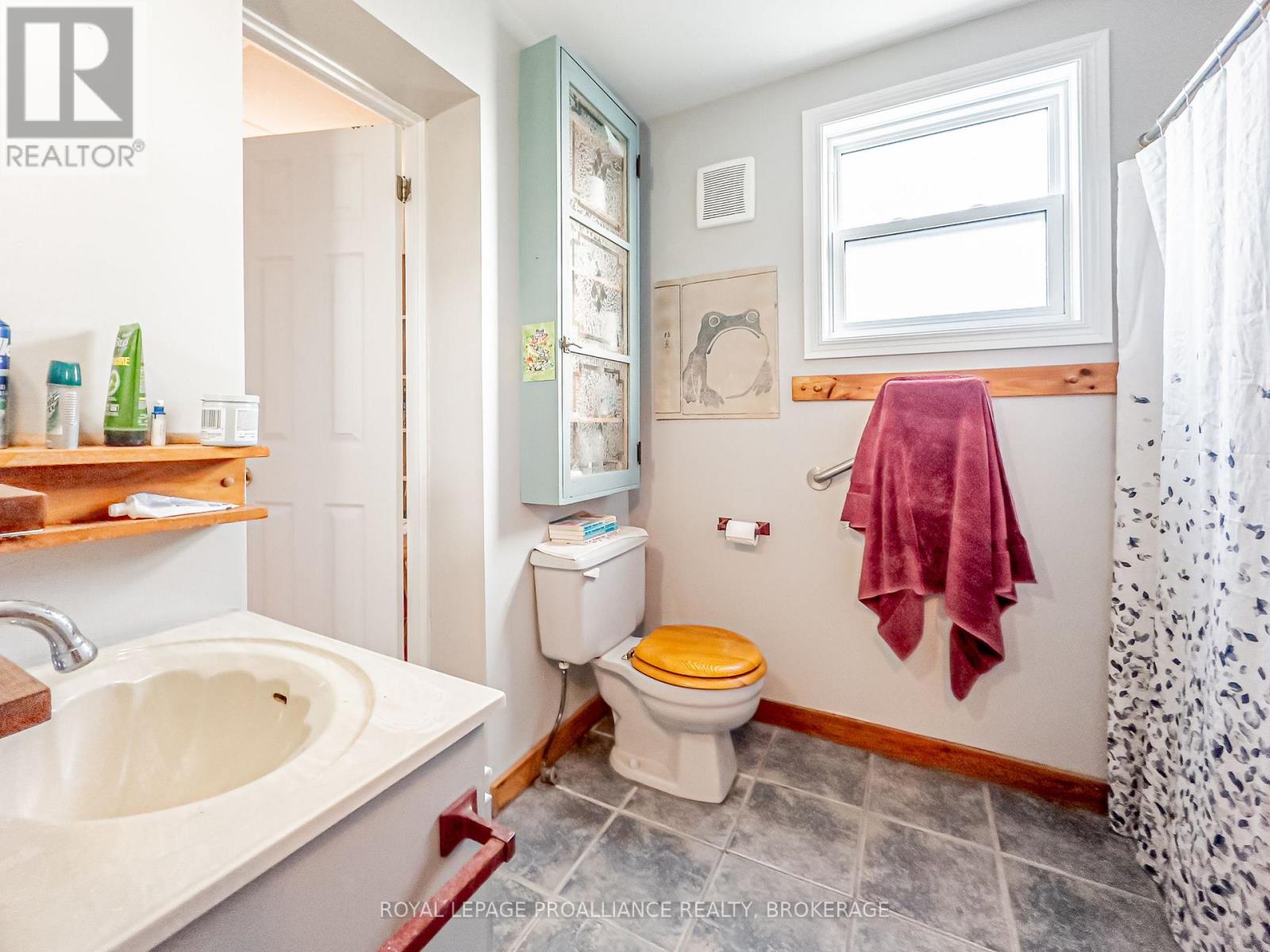 102 Livingston Avenue, Kingston, Ontario  K7L 4L4 - Photo 11 - X12380414