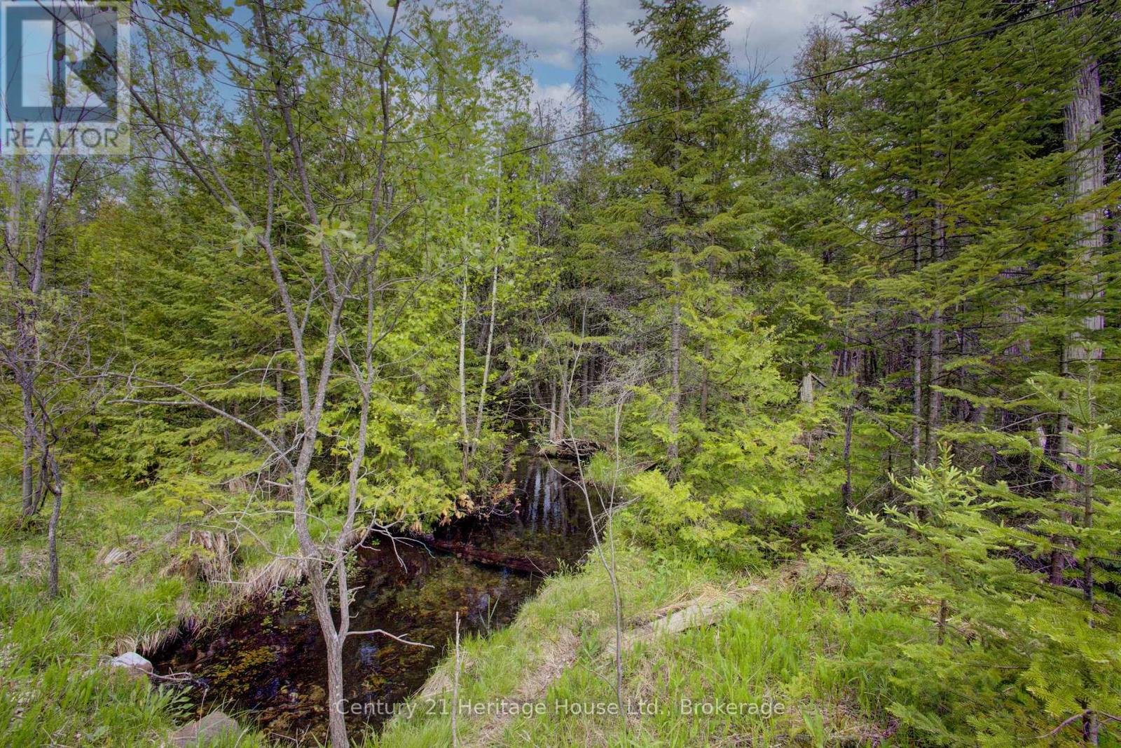 423080 Rocky Saugeen Road, West Grey, Ontario  N0G 1R0 - Photo 47 - X12380446