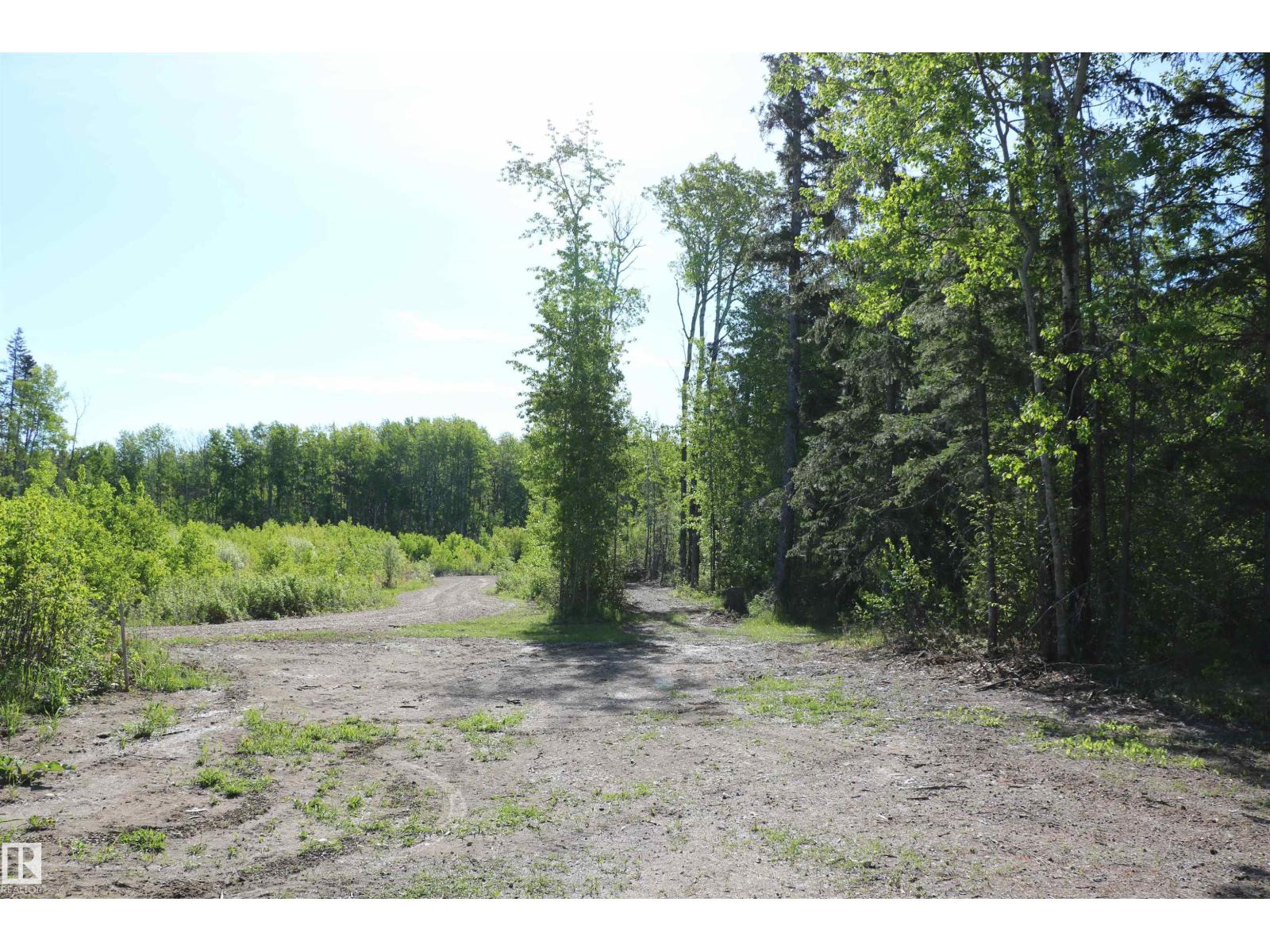 545165 Ste Anne Trail, Rural Lac Ste. Anne County, Alberta  T0E 0A1 - Photo 13 - E4455989