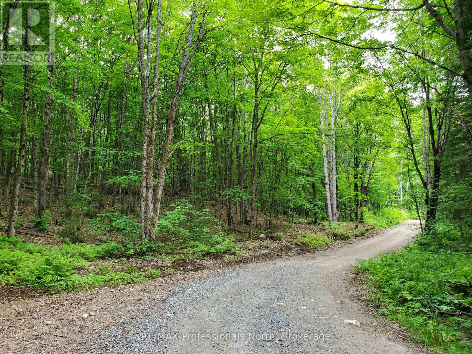 0 Buckslide Road, Algonquin Highlands, Ontario  K0M 1S0 - Photo 3 - X12355186