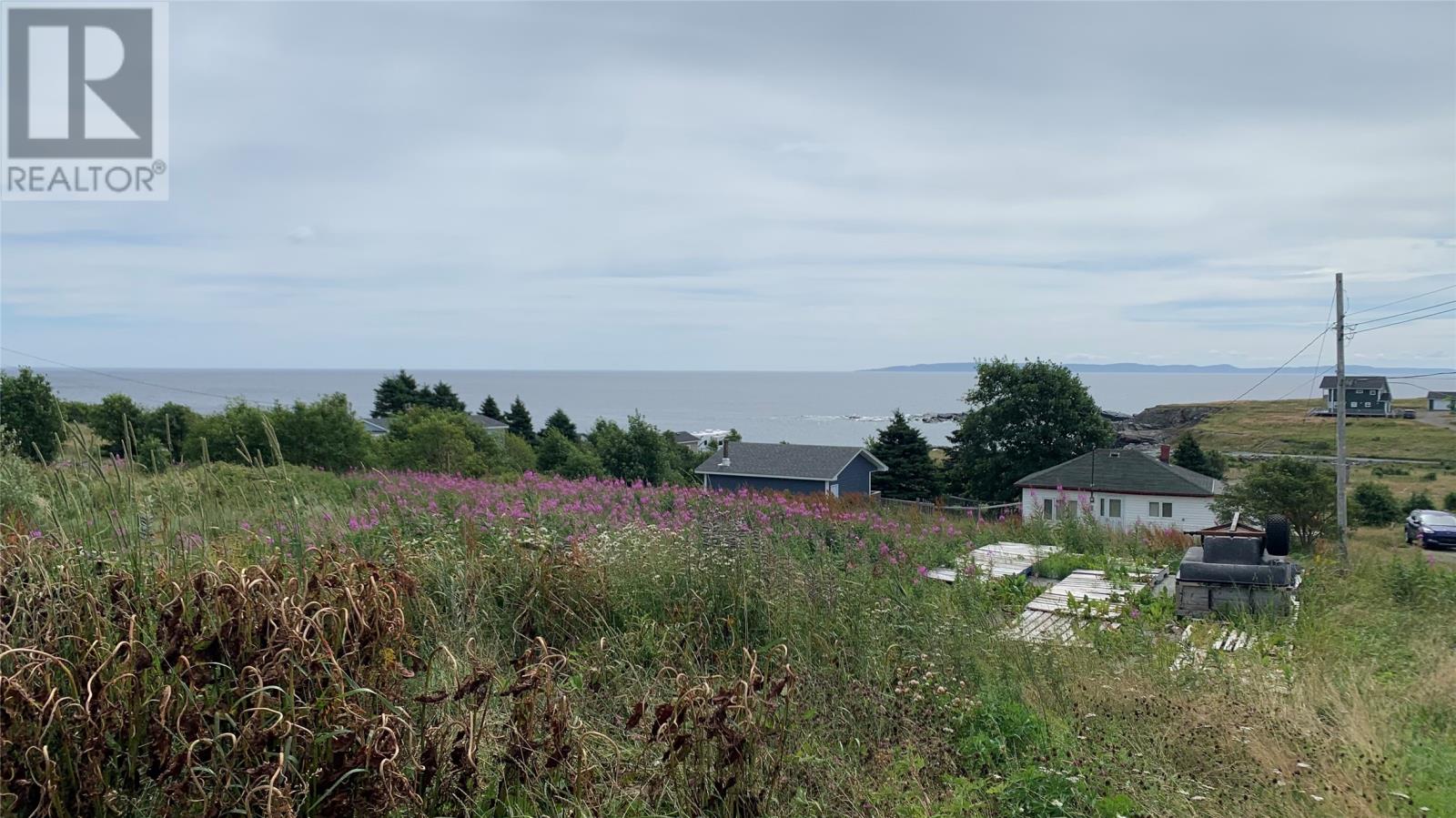3 Doyles Road, Gull Island, Newfoundland & Labrador  A0A 1M0 - Photo 5 - 1289967