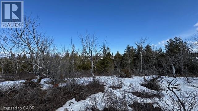 Lot 6 Goosecap Crescent, Gore Bay, Ontario  P0P 1H0 - Photo 10 - 40766157