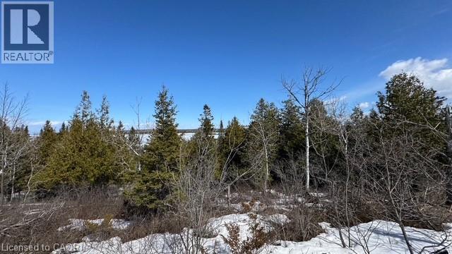 Lot 6 Goosecap Crescent, Gore Bay, Ontario  P0P 1H0 - Photo 12 - 40766157