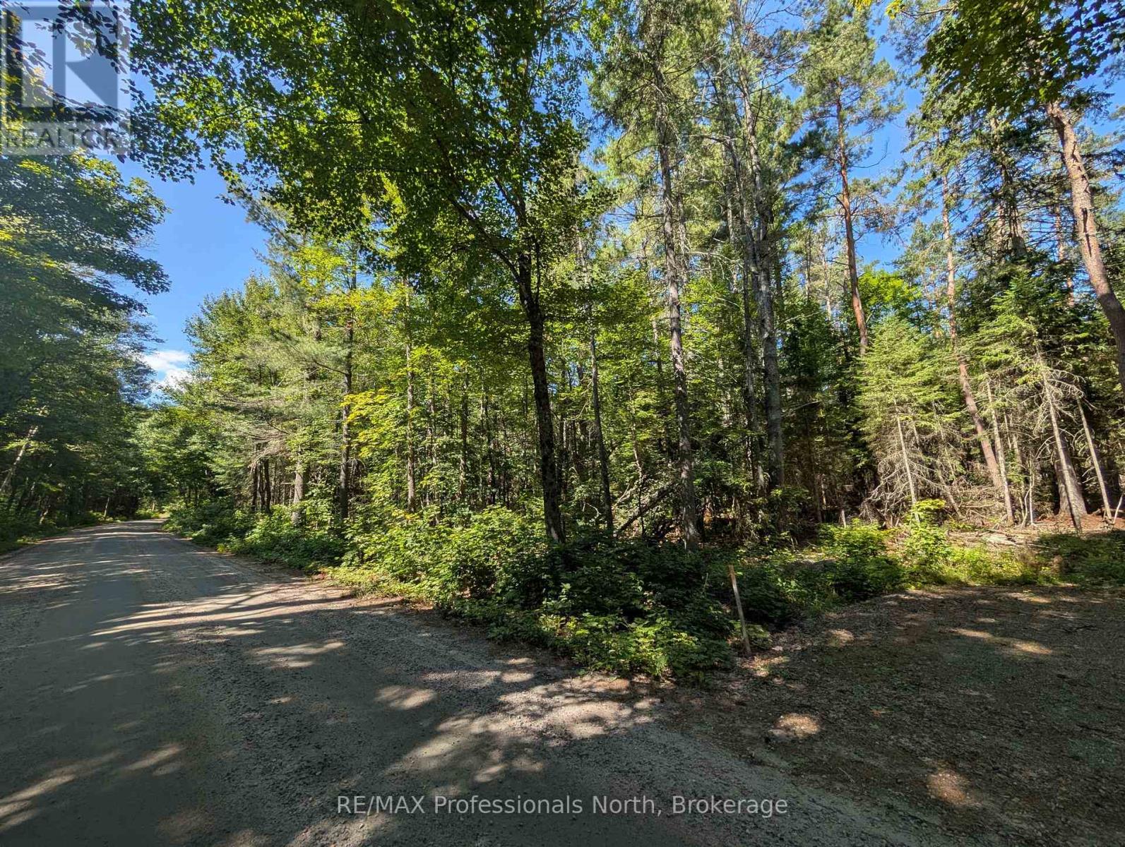 2246 Yearley Road, Mcmurrich/monteith (Mcmurrich), Ontario  P0A 1Y0 - Photo 4 - X12380840