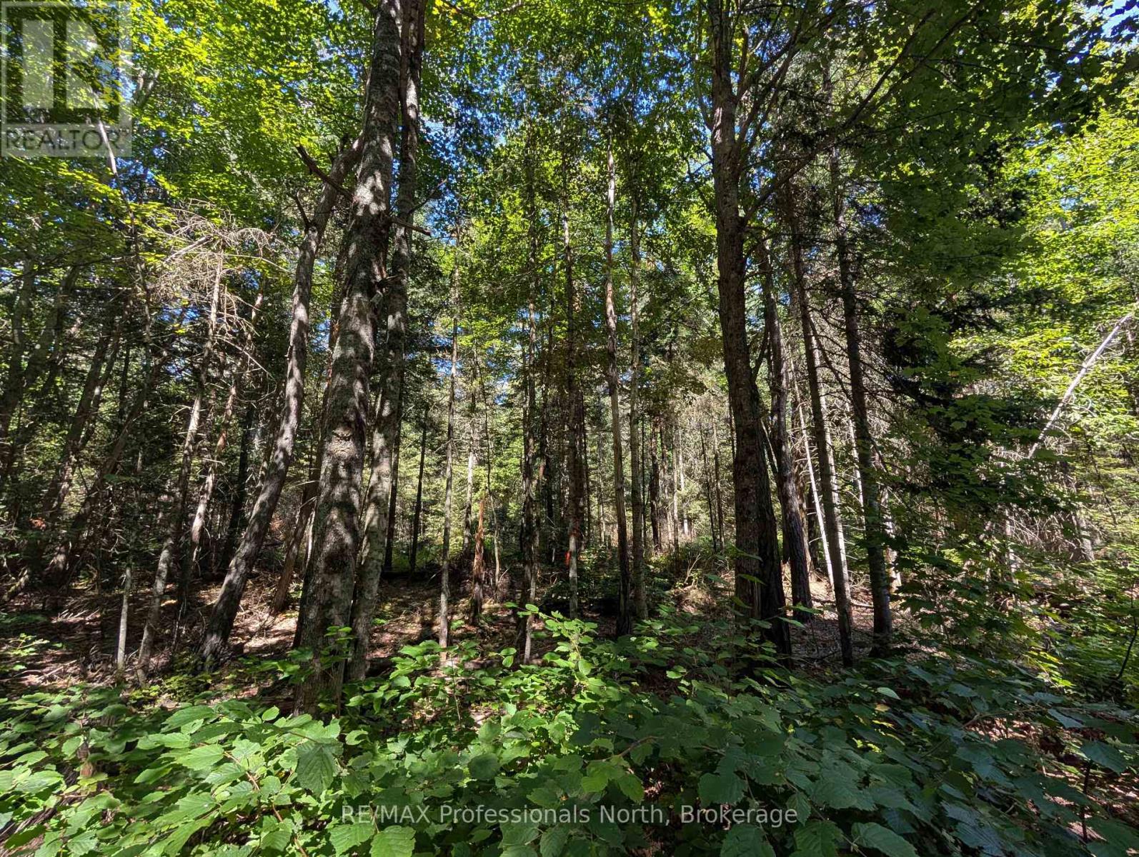 2246 Yearley Road, Mcmurrich/monteith (Mcmurrich), Ontario  P0A 1Y0 - Photo 6 - X12380840