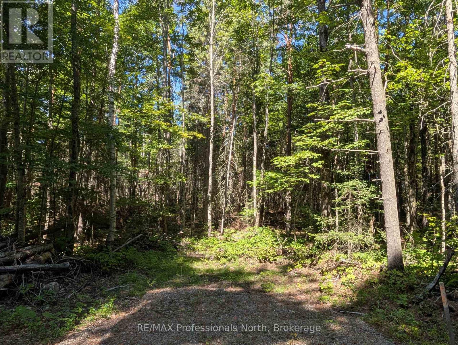 2246 Yearley Road, Mcmurrich/monteith (Mcmurrich), Ontario  P0A 1Y0 - Photo 7 - X12380840