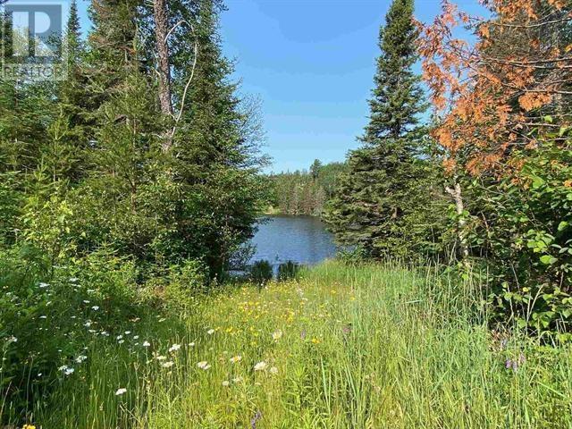 Lot 19 Maki Lake Rd, Gorham Township, Ontario  P7G 0L4 - Photo 12 - TB251896