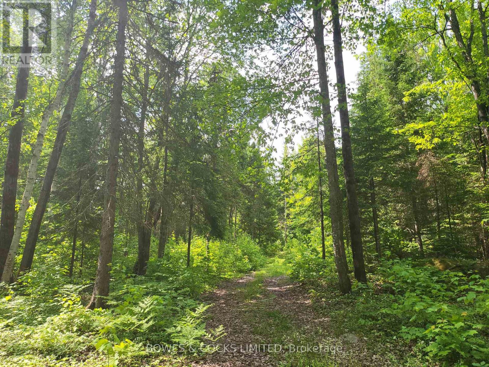 447 Frantz Road, Hastings Highlands, Ontario  K0L 2S0 - Photo 45 - X12208891