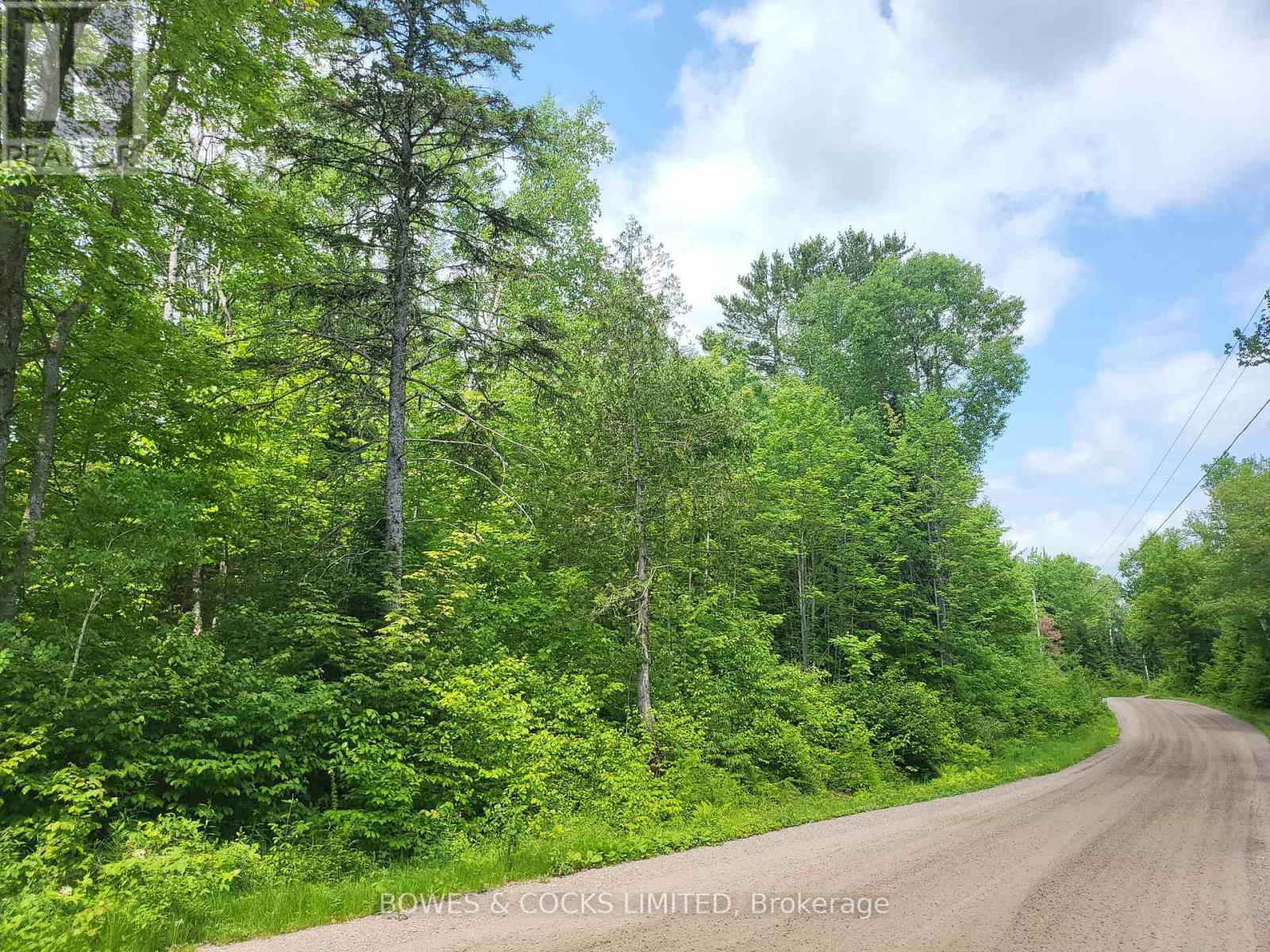 447 Frantz Road, Hastings Highlands, Ontario  K0L 2S0 - Photo 47 - X12208891