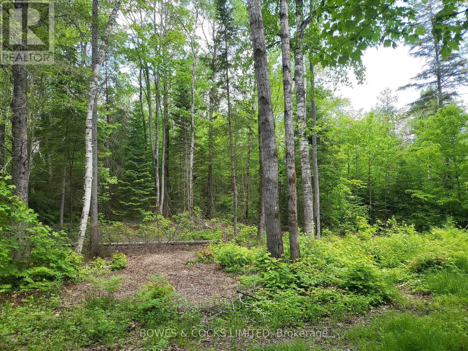 447 Frantz Road, Hastings Highlands, Ontario  K0L 2S0 - Photo 46 - X12208891