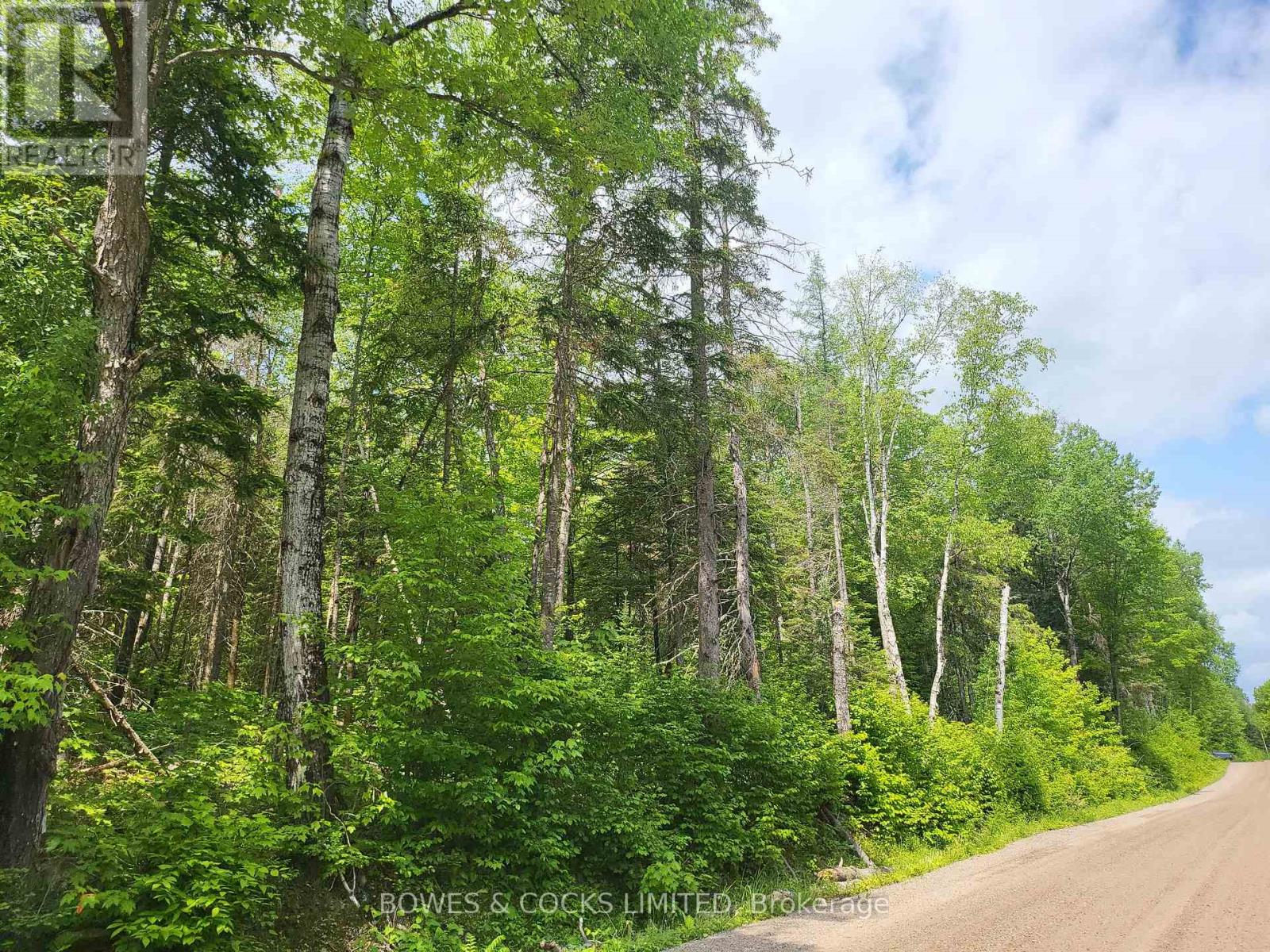447 Frantz Road, Hastings Highlands, Ontario  K0L 2S0 - Photo 48 - X12208891