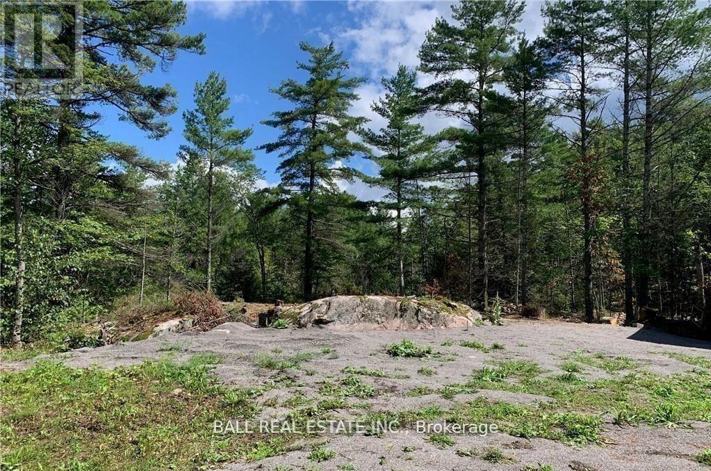 3 Fire Route 81, Trent Lakes, Ontario  K0L 1J0 - Photo 4 - X12380786
