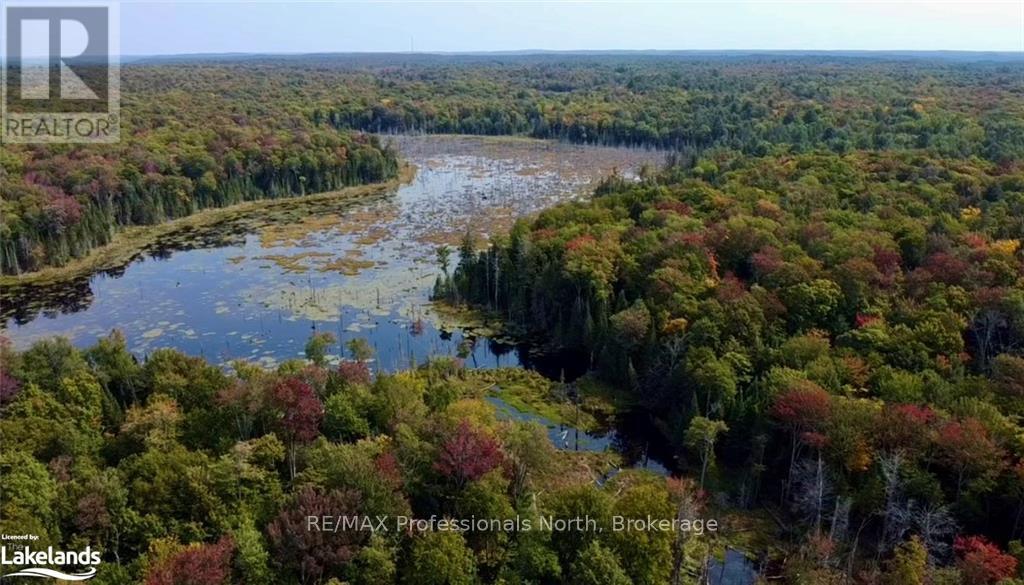 300 Concession 2&3 Road W, Huntsville, Ontario  P1H 2L5 - Photo 34 - X11990115