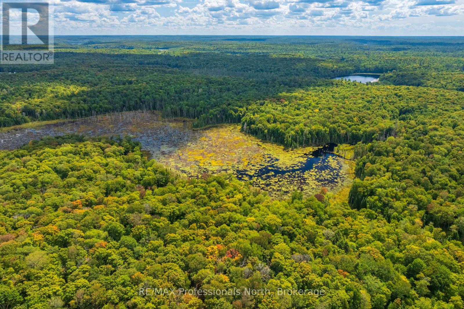 300 Concession 2&3 Road W, Huntsville, Ontario  P1H 2L5 - Photo 47 - X11990115