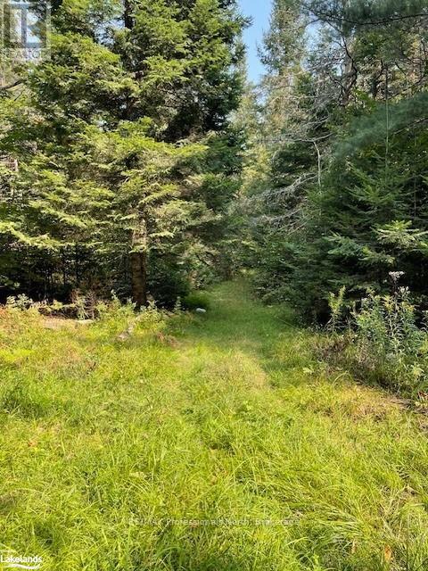 300 Concession 2&3 Road W, Huntsville, Ontario  P1H 2L5 - Photo 33 - X11990115