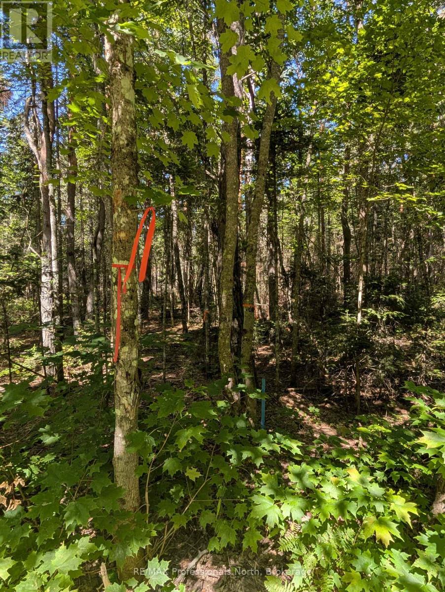 2244 Yearley Road, Mcmurrich/monteith (Mcmurrich), Ontario  P0A 1Y0 - Photo 6 - X12380918