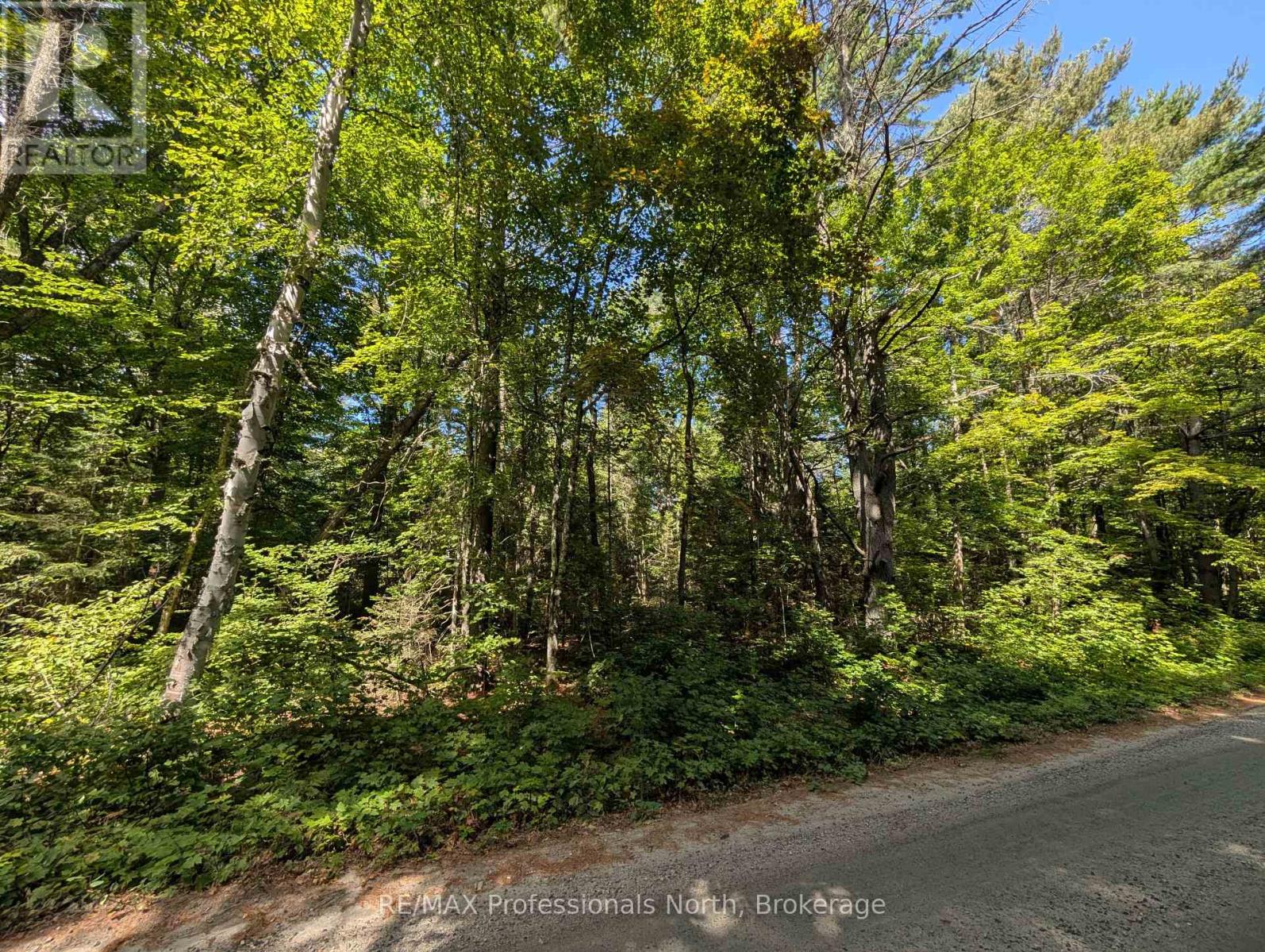 2206 Yearley Road, Mcmurrich/monteith (Mcmurrich), Ontario  P0A 1Y0 - Photo 8 - X12380952