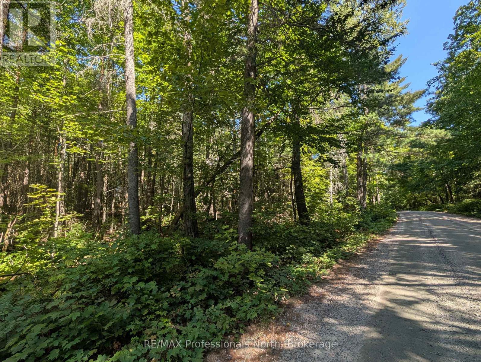 2244 Yearley Road, Mcmurrich/monteith (Mcmurrich), Ontario  P0A 1Y0 - Photo 3 - X12380918
