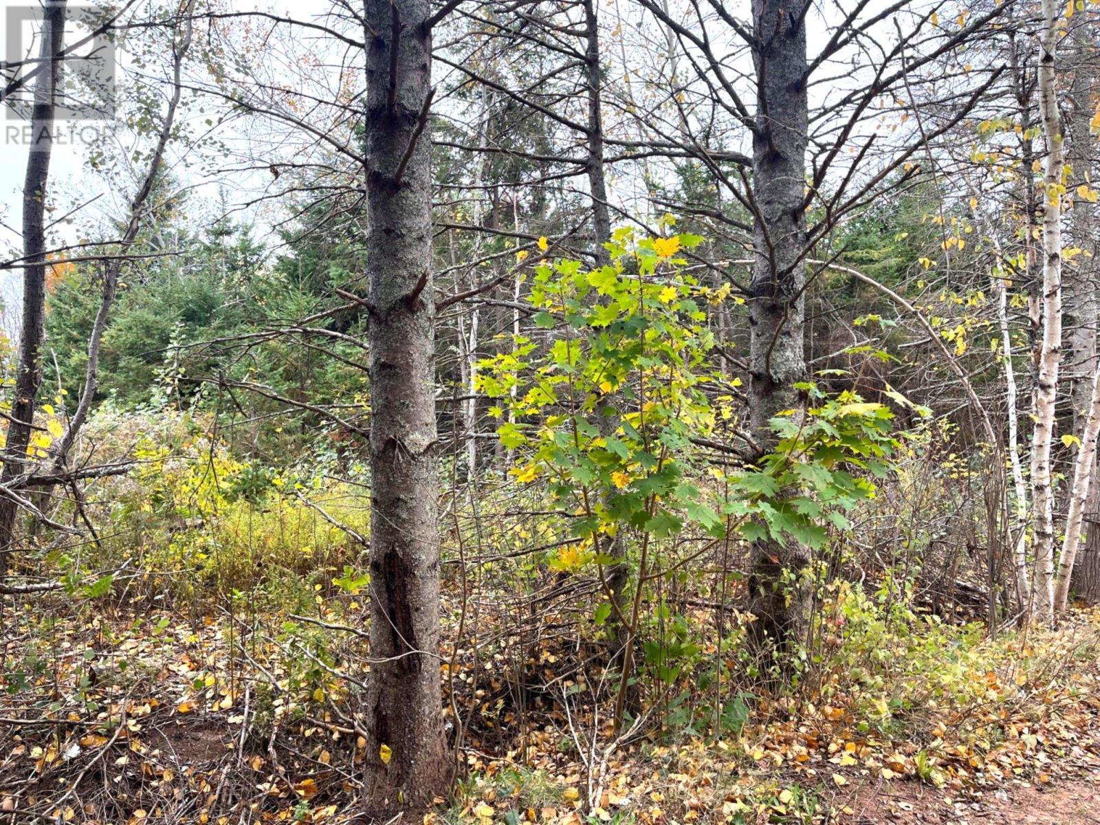 Lot 9 Birds Eye Drive, Rocky Point, Prince Edward Island  C0A 1H0 - Photo 2 - 202419023